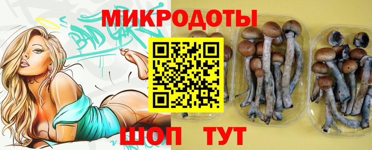 Псилоцибиновые грибы мицелий  Вход с VPN  закладка  Галлюциногенные грибы Psilocybine cubensis  Хасавюрт 